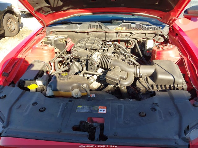 1ZVBP8AM9E5286782 Ford Mustang V6