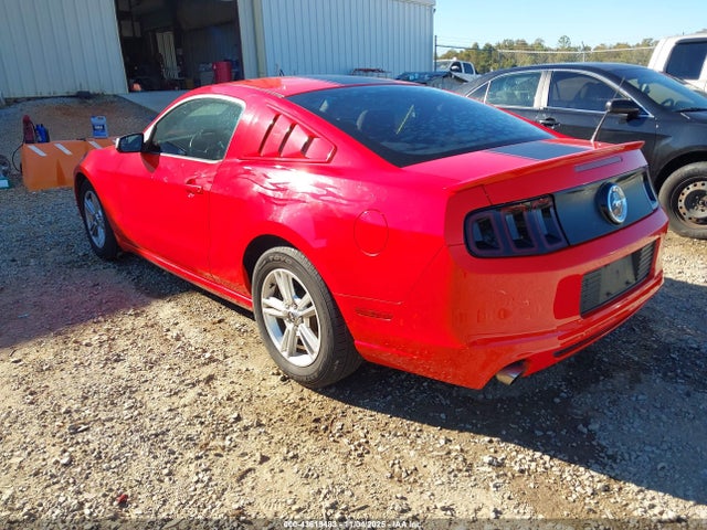 1ZVBP8AM9E5286782 Ford Mustang V6