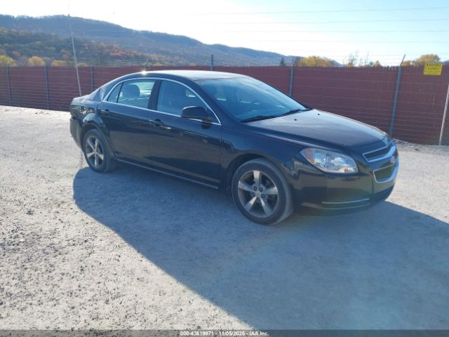 2011 CHEVROLET MALIBU 1G1ZC5E10BF283599