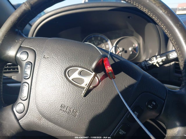 2009 HYUNDAI SANTA FE 5NMSH13E29H241585 Photo 10