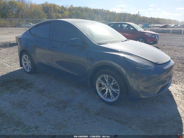 2023 TESLA MODEL Y 7SAYGDEE8PF869079 Photo 0