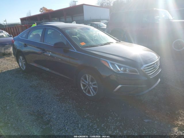 2017 HYUNDAI SONATA 5NPE24AF1HH592842