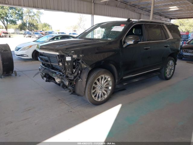 2023 CADILLAC ESCALADE 1GYS4BKL2PR417703 Photo 1