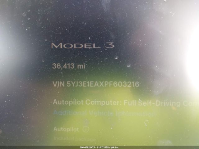 2023 TESLA MODEL 3 5YJ3E1EAXPF603216 Photo 6