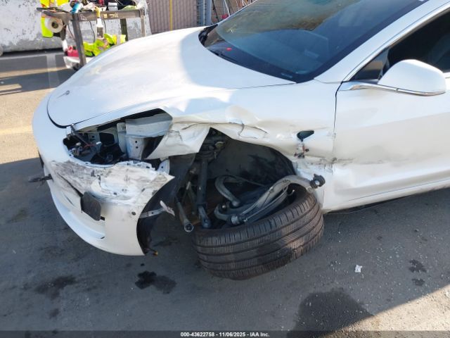 2020 TESLA MODEL 3 5YJ3E1EA4LF798529 Photo 5