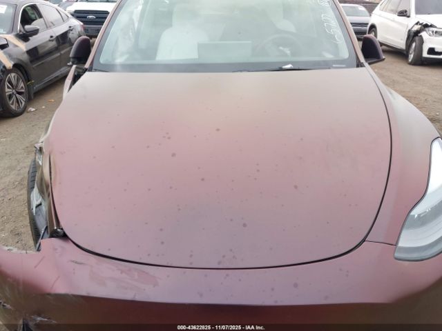 2024 TESLA MODEL Y 7SAYGDEF9RA265727 Photo 9