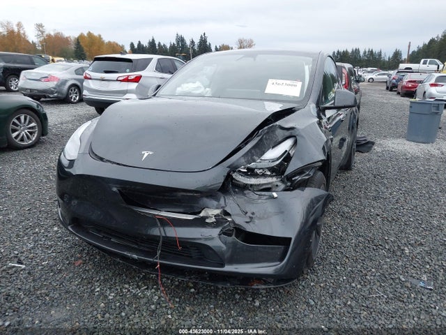 2025 TESLA MODEL Y 7SAYGDED5SF258801 Photo 5