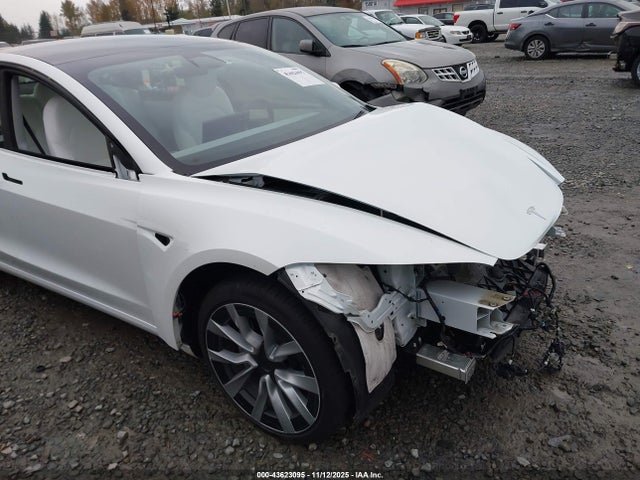 2025 TESLA MODEL 3 5YJ3E1EB8SF912006 Photo 5