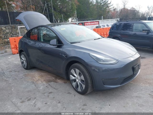 2023 TESLA MODEL Y 7SAYGDEE6PA195186 Photo 0