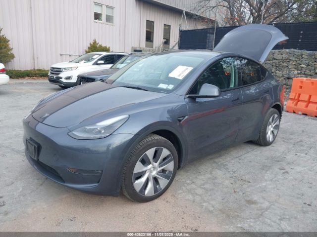 2023 TESLA MODEL Y 7SAYGDEE6PA195186 Photo 1