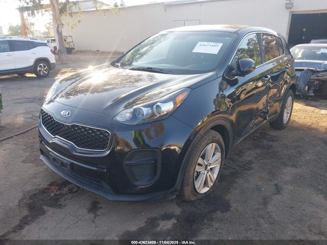 2019 KIA SPORTAGE KNDPM3AC2K7513032 Photo 1
