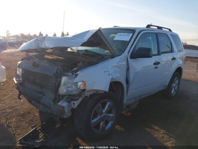 2009 FORD ESCAPE 1FMCU03G99KC48397 Photo 1