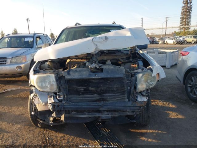 2009 FORD ESCAPE 1FMCU03G99KC48397 Photo 5