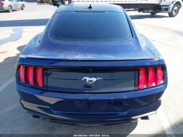 Ford Mustang Ecoboost Fastback 2020 1FA6P8TH0L5189736 Image 16