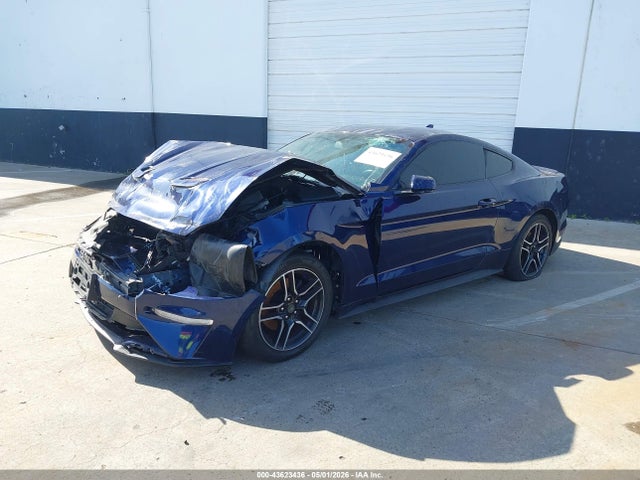 Ford Mustang Ecoboost Fastback 2020 1FA6P8TH0L5189736 Image 2