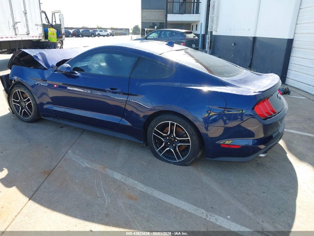 Ford Mustang Ecoboost Fastback 2020 1FA6P8TH0L5189736 Image 3
