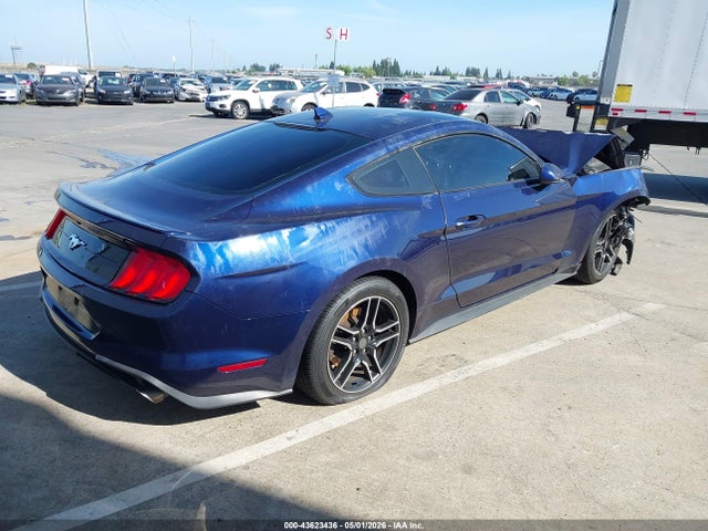 Ford Mustang Ecoboost Fastback 2020 1FA6P8TH0L5189736 Image 4
