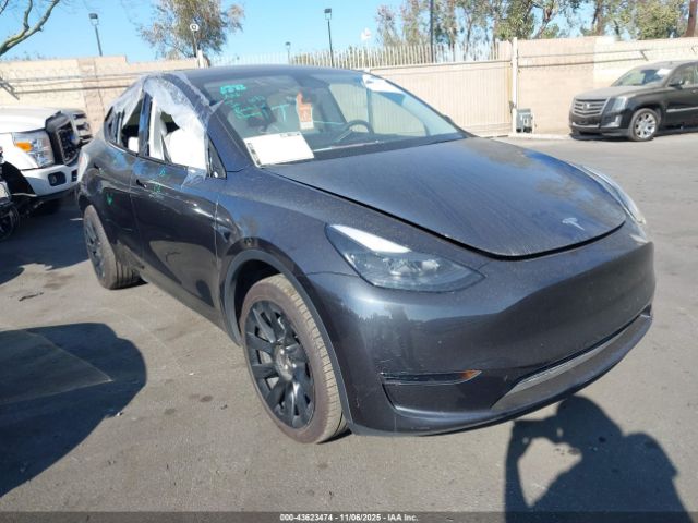 2024 TESLA MODEL Y 7SAYGDED0RF102126