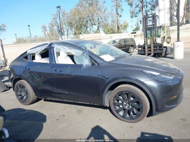 2024 TESLA MODEL Y 7SAYGDED0RF102126 Photo 5