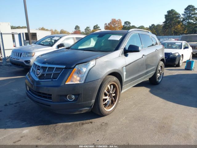 2010 CADILLAC SRX 3GYFNBEY1AS522677 Photo 1