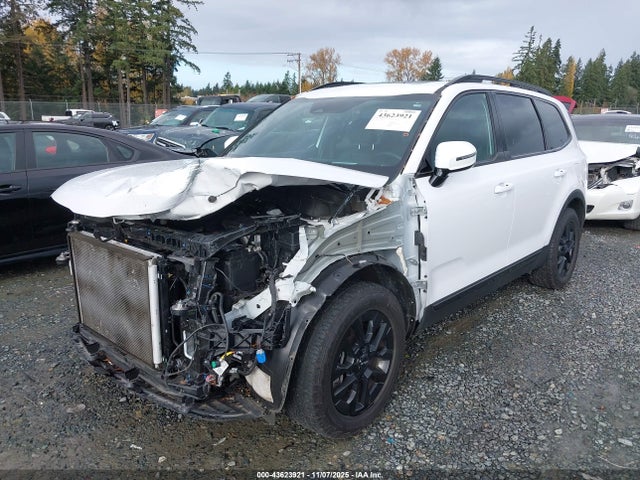 5XYP5DGC2RG502829 KIA Telluride Sx Prestige X-pro