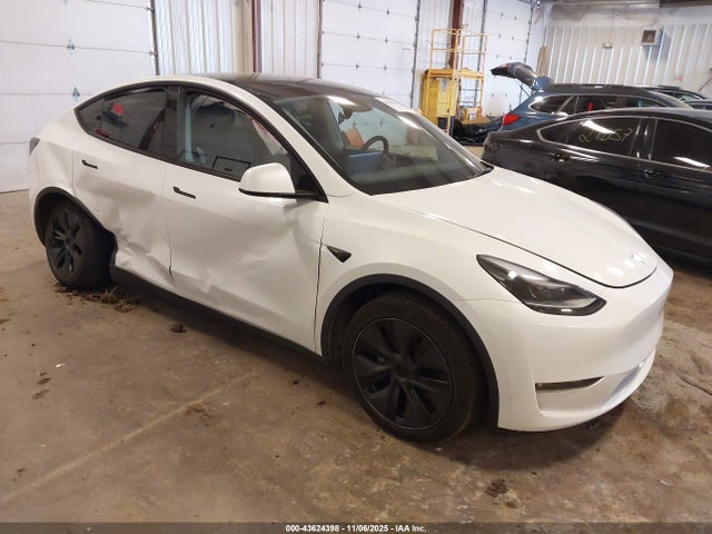 2025 TESLA MODEL Y 7SAYGDEE9SF254808 Photo 0