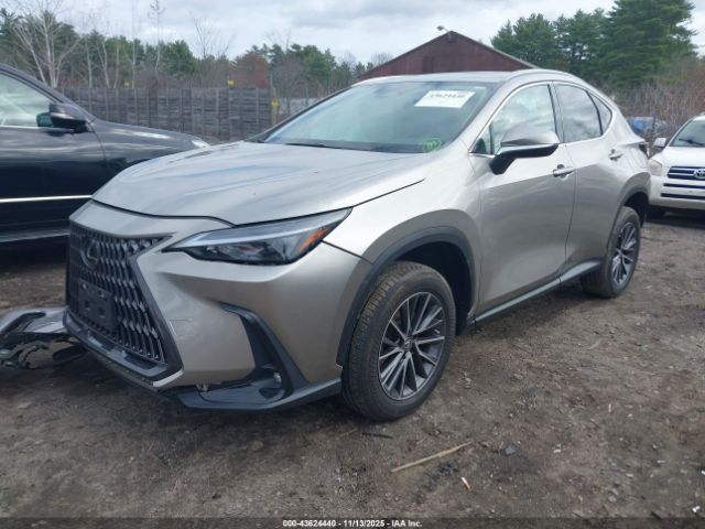 2022 LEXUS NX 350 2T2AGCEZ8NC002046 Photo 1