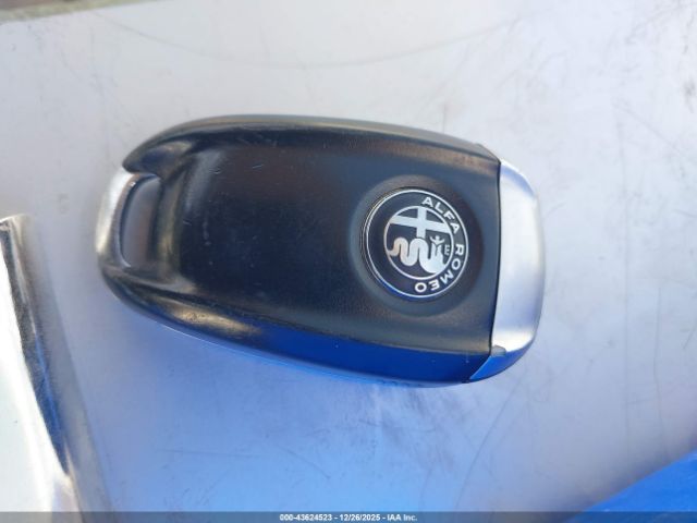 2020 ALFA ROMEO STELVIO ZASPAJAN2L7C73200 Photo 10