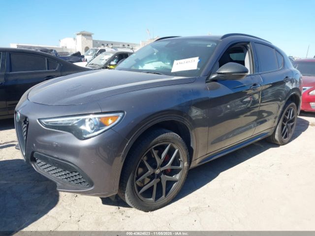 2020 ALFA ROMEO STELVIO ZASPAJAN2L7C73200 Photo 1
