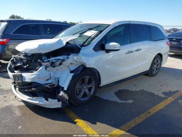 2022 HONDA ODYSSEY 5FNRL6H51NB053462 Photo 1