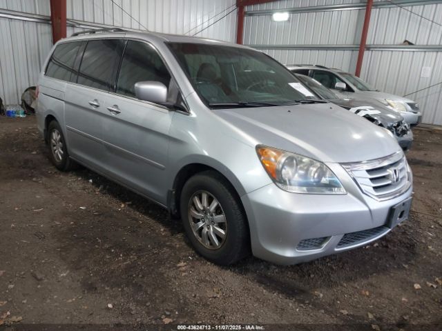 2010 HONDA ODYSSEY 5FNRL3H71AB038244
