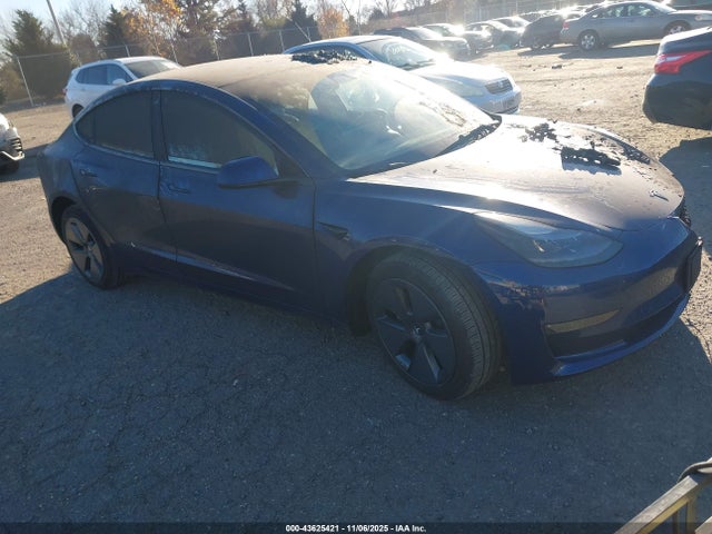 2023 TESLA MODEL 3 5YJ3E1EB5PF388658 Photo 0