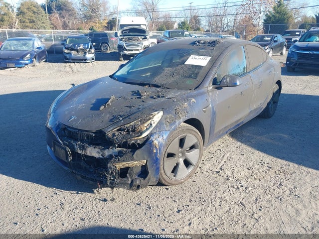 2023 TESLA MODEL 3 5YJ3E1EB5PF388658 Photo 1