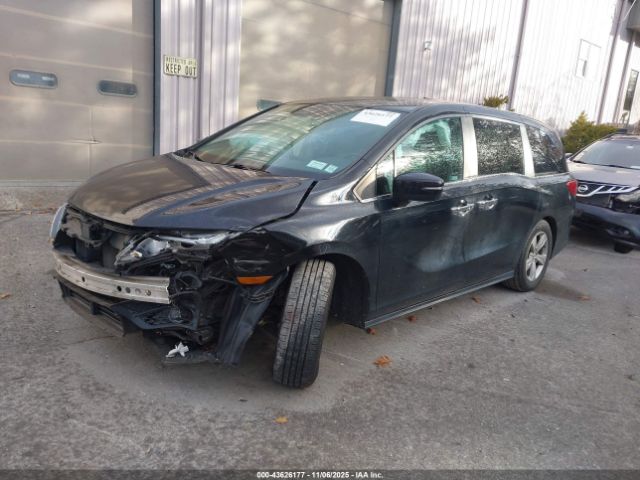 2019 HONDA ODYSSEY 5FNRL6H79KB064271 Photo 1