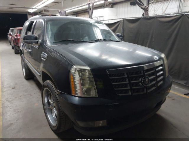 2009 CADILLAC ESCALADE HYBRID 1GYFK43519R131654