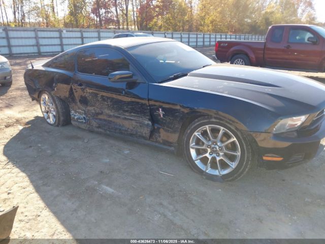2010 FORD MUSTANG 1ZVBP8AN4A5176239