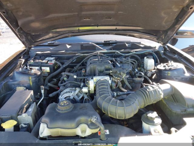 2010 FORD MUSTANG 1ZVBP8AN4A5176239 Photo 9