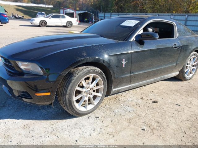 2010 FORD MUSTANG 1ZVBP8AN4A5176239 Photo 1