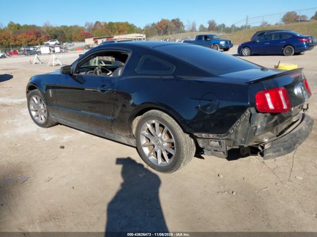 2010 FORD MUSTANG 1ZVBP8AN4A5176239 Photo 2