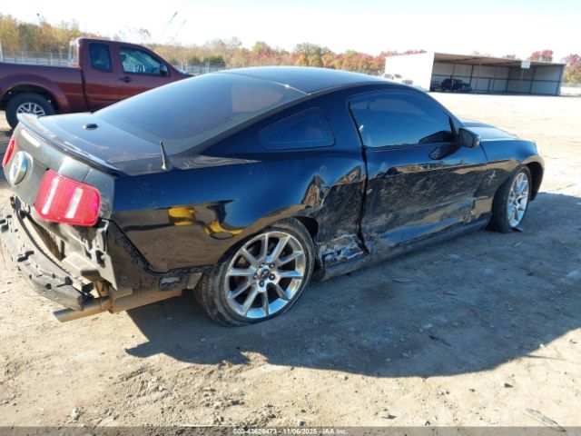 2010 FORD MUSTANG 1ZVBP8AN4A5176239 Photo 3