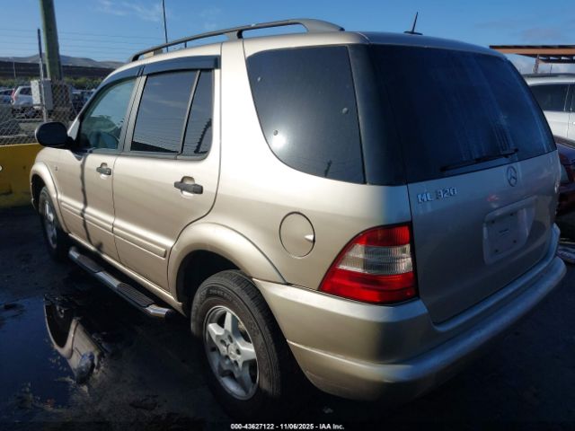 2001 MERCEDES-BENZ ML 320 4JGAB54E91A222643 Photo 2