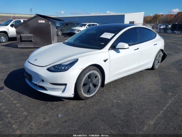 2021 TESLA MODEL 3 5YJ3E1EA0MF857304 Photo 1