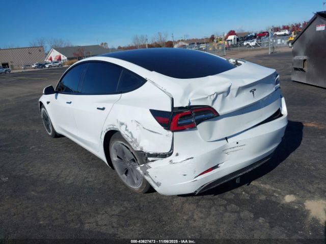 2021 TESLA MODEL 3 5YJ3E1EA0MF857304 Photo 2