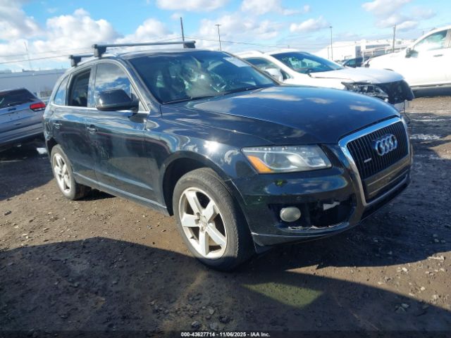 2010 AUDI Q5 WA1VKAFP8AA091342