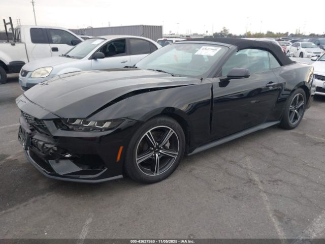 2024 FORD MUSTANG 1FAGP8UH7R5136348 Photo 1