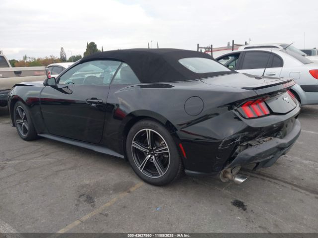 2024 FORD MUSTANG 1FAGP8UH7R5136348 Photo 2