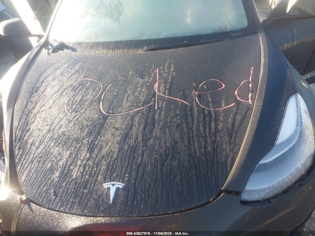 2023 TESLA MODEL 3 5YJ3E1EA5PF511012 Photo 9