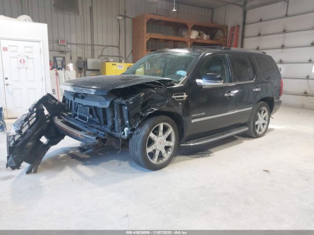 2012 CADILLAC ESCALADE 1GYS4BEF4CR224002 Photo 1