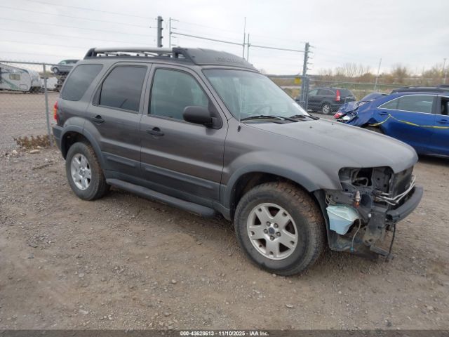 2003 FORD ESCAPE 1FMYU93113KB12813
