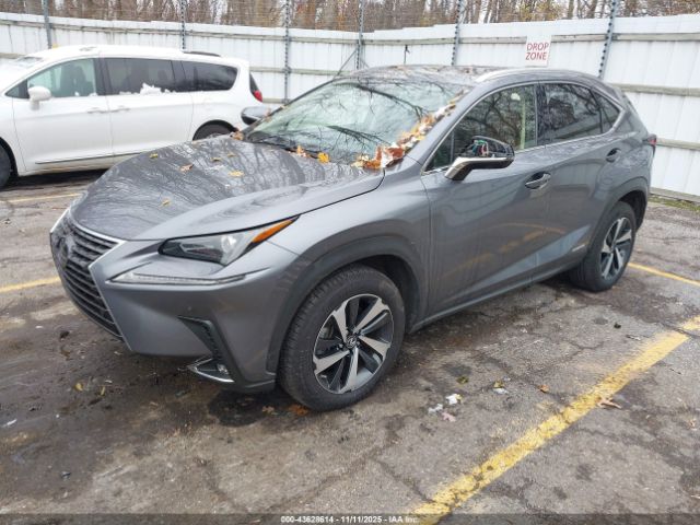 2021 LEXUS NX 300H JTJGJRDZ8M2149174 Photo 1